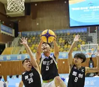 包含BDS血洗NS，Bwipo制霸全场的词条