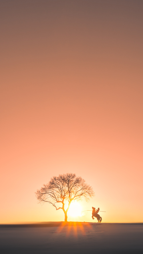 当火箭刺破夜空的刹那，西亚卡姆在硬仗废墟上称王