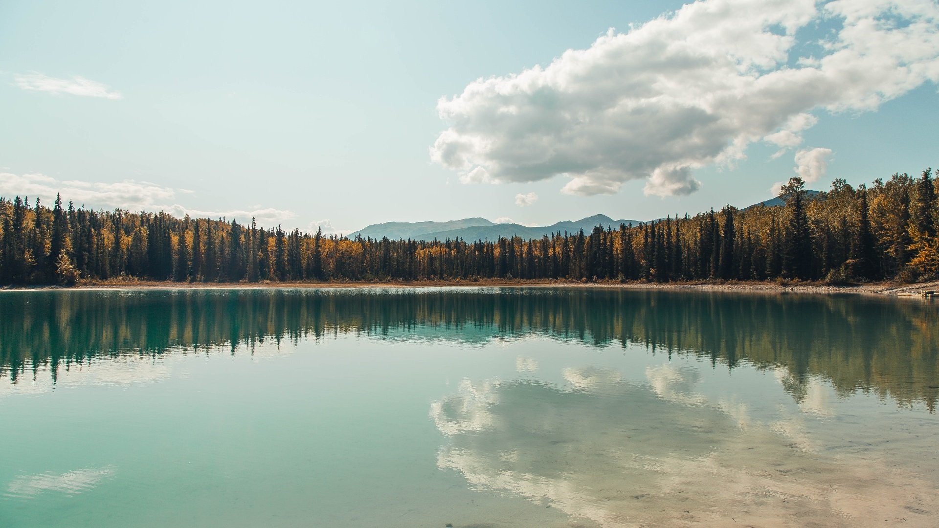 草原雄狮咆哮蓝桥，塞内加尔力量如何重塑英超争冠格局