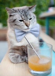 足球未来启示录,巴萨哲学如何压制美式体育霸权,久保建英欧冠封神记