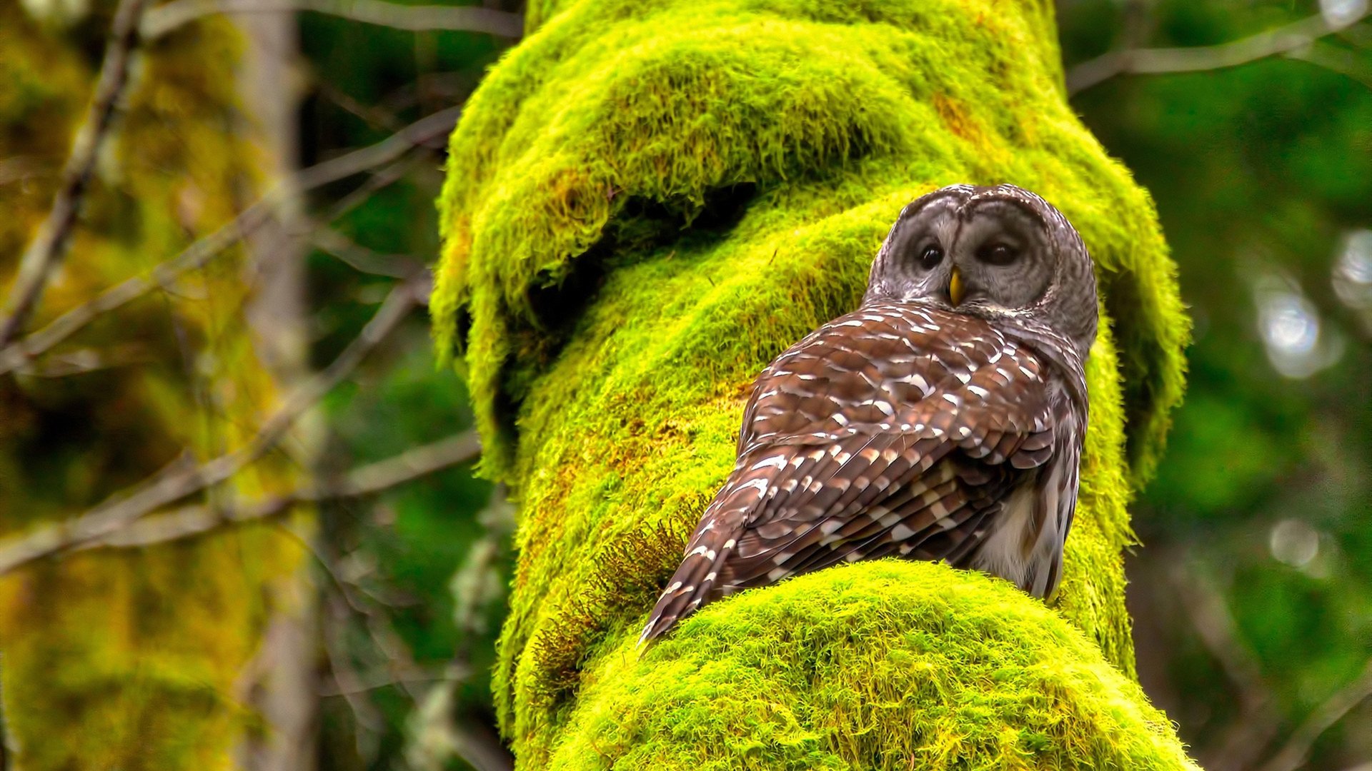 开云体育-瑞士逆战涅槃，阿圭罗神级表演踢碎毕尔巴鄂铁壁