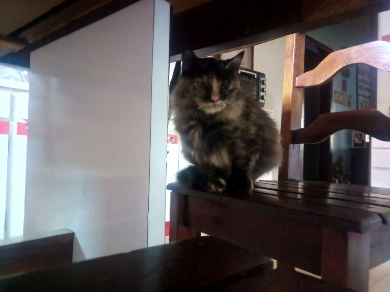 开云体育-樱花与枫叶间的独舞，当奥纳纳筑起叹息之墙