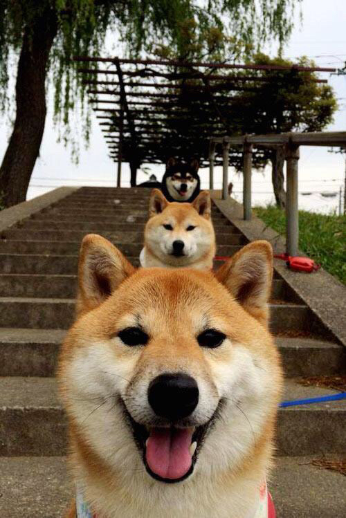 瑞典粉碎伦敦神话,曼城天才福登加冕王座