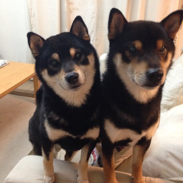 恩佐的大场面，土耳其足球如何逆袭拿下中国