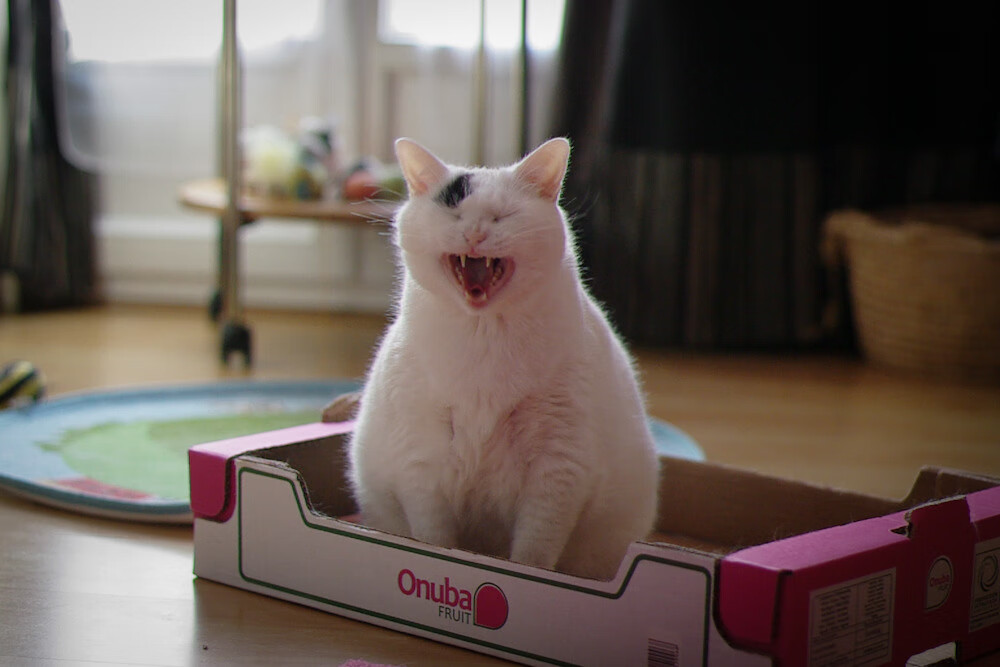 开云体育app-鬼魅弧线破僵局，三笘薰成为多特蒙德惊险晋级的唯一答案