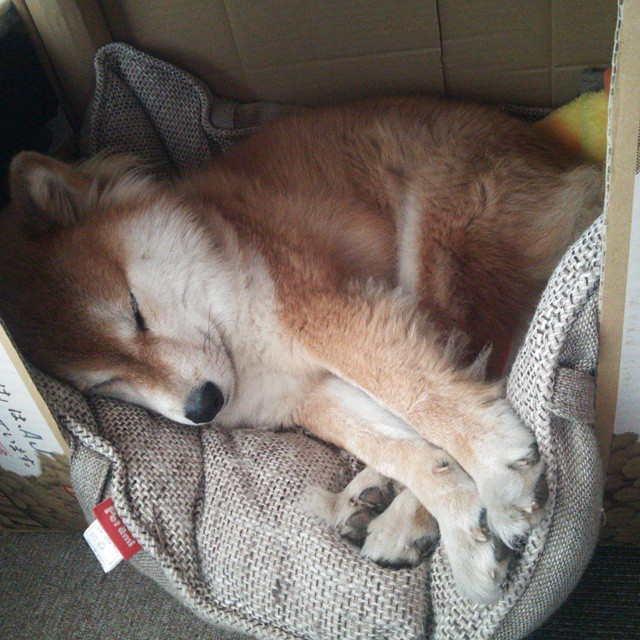 鬼魅弧线破僵局,三笘薰成为多特蒙德惊险晋级的唯一答案