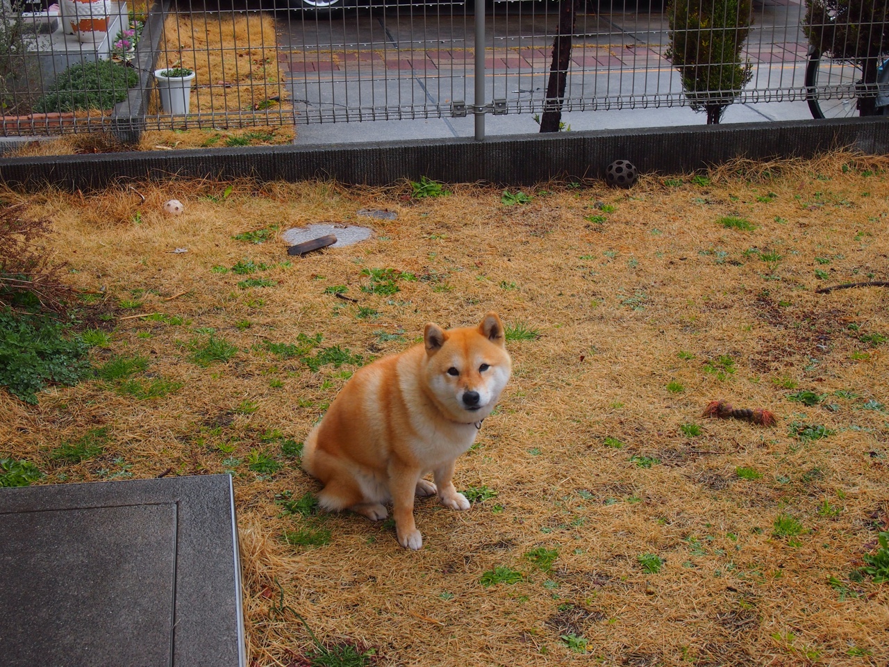 阿克闪耀全场导演完美攻防，利物浦行云流水轻取摩纳哥