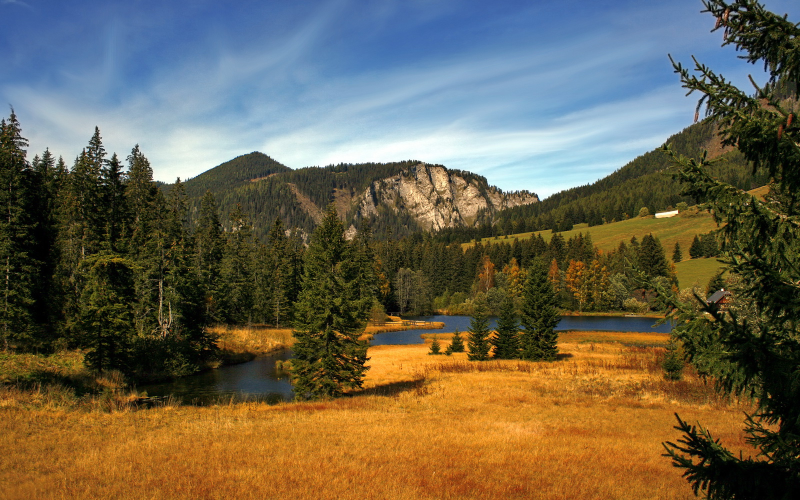 德罗赞，当斗牛士的剑尖刺入鹰的心脏，纽约奏响红色狂想曲