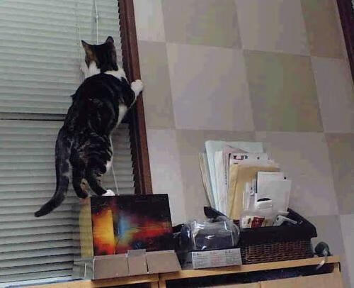 开云体育平台APP-他不是在奔跑，而是在指挥一场交响乐，阿劳霍用他的节奏支配了比赛