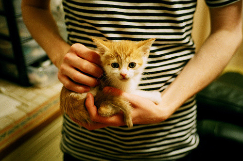 开云体育官网-布伦森爆发成救世主，公牛生死战险胜魔术续命