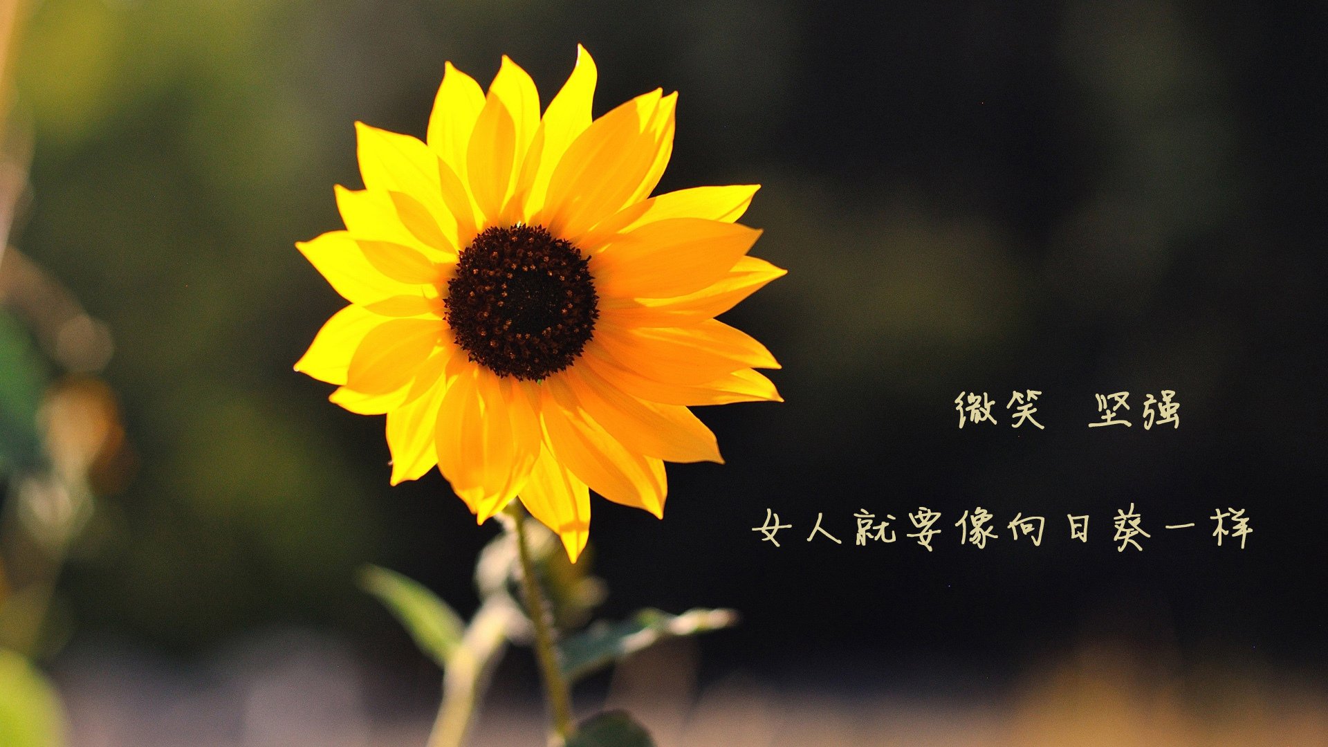 奥运前哨战，开拓者狂胜热火，关键战暴露三大格局信号