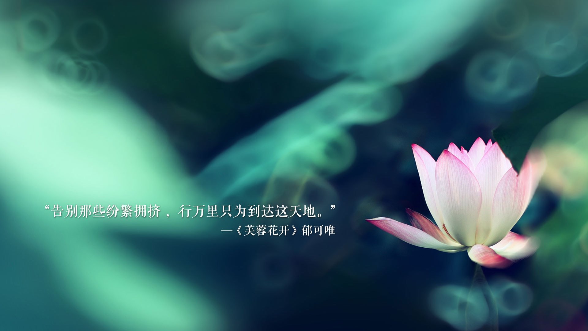 开云体育官网-一瞬即永恒，2026世界杯F组，贝林厄姆定义攻守转换的黄金律法